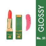 Lipstik Elizabeth Helen Glossy Lipstick Mahmood Saeed 51 (4g)
