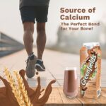 Greenfield Fresh Milk Chocomalt