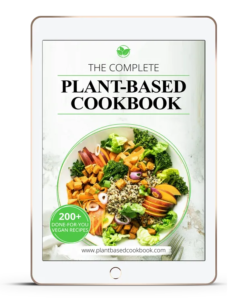 Vegan Diet Plant Based Recipes