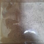 Mushroom Shiitake Jamur Shitake Powder